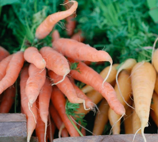 Lexington Farmers' MarketLexington Farmer's Market