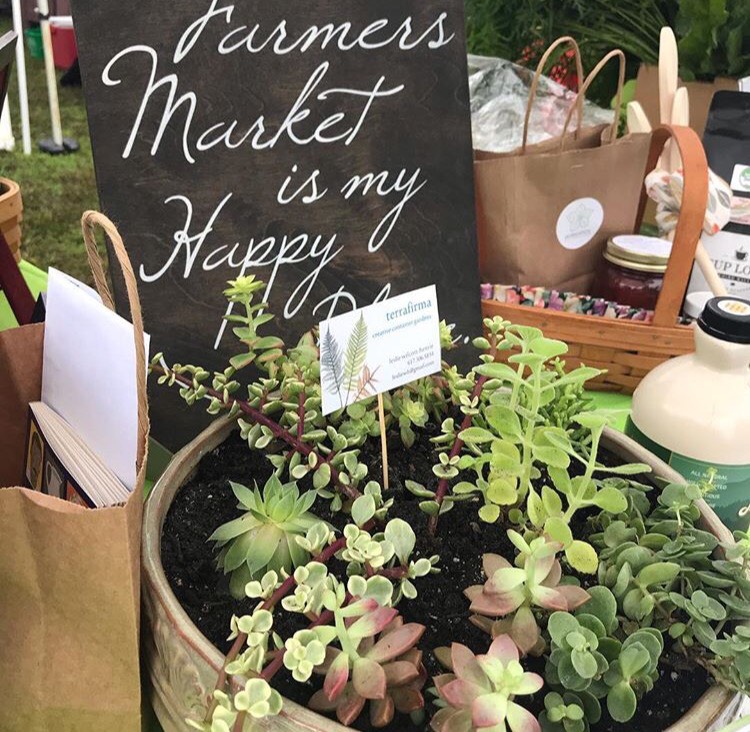 IMG_2199 Lexington Farmer's MarketLexington Farmer's Market